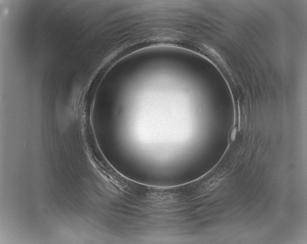 X0000071950435200607071214