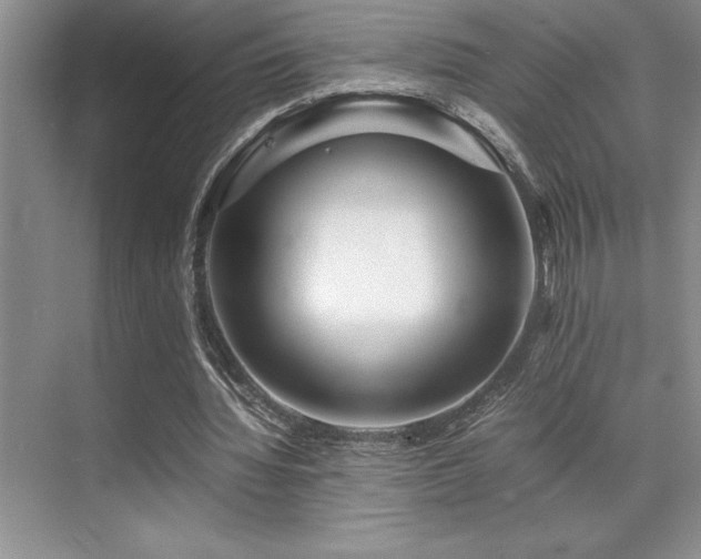 X0000071950436200607071214