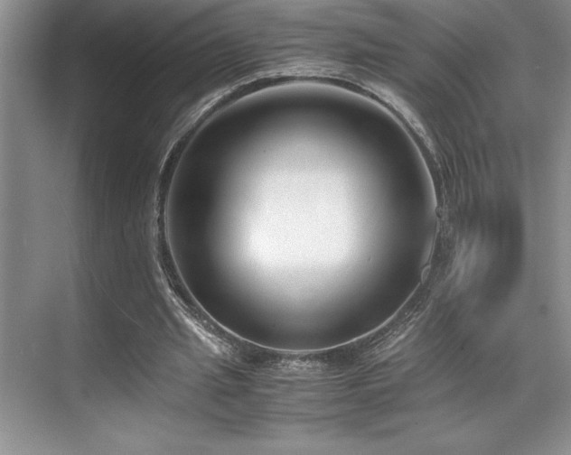 X0000071950437200607071214