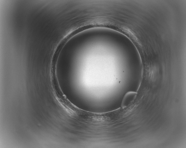 X0000071950439200607071214