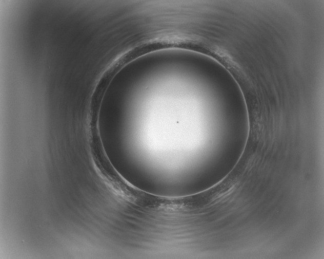 X0000071950440200607071214