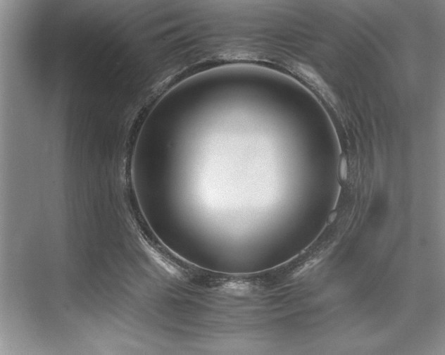 X0000071950441200607071214