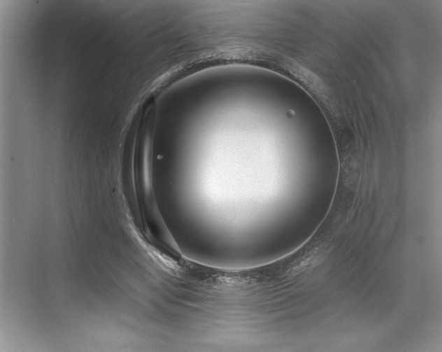 X0000071950442200607071214