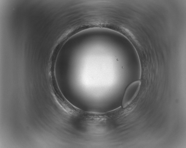 X0000071950443200607071214