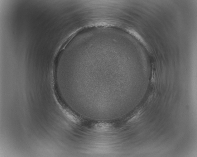 X0000071950444200607071214