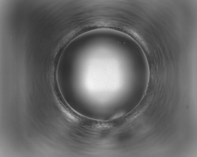 X0000071950445200607071214