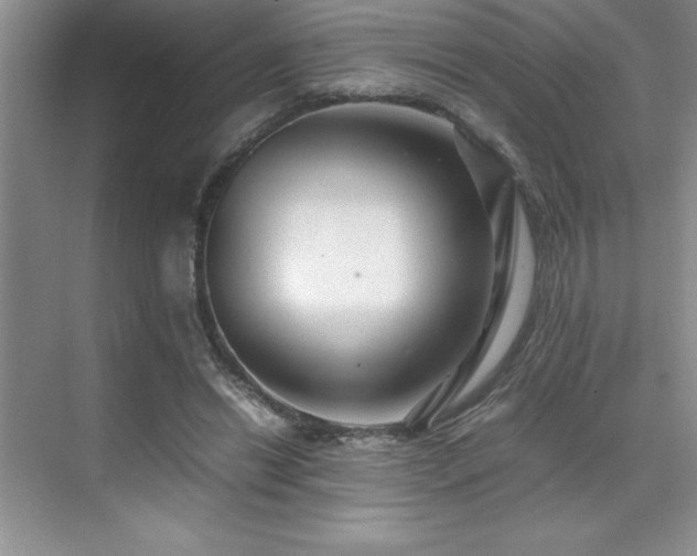 X0000071950446200607071214