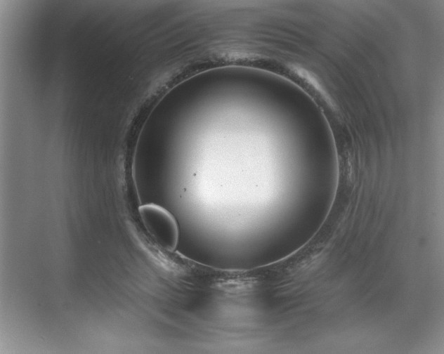 X0000071950447200607071214