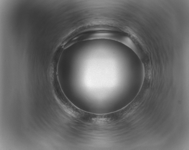 X0000071950448200607071214