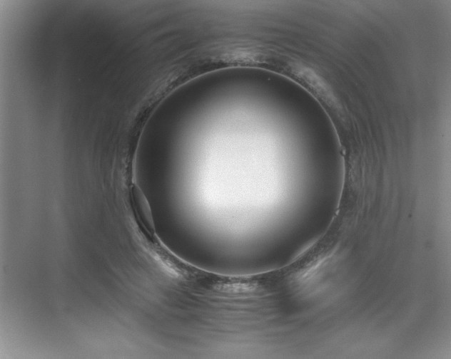 X0000071950449200607071214