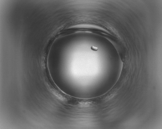 X0000071950450200607071214