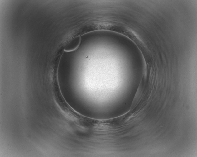 X0000071950451200607071214