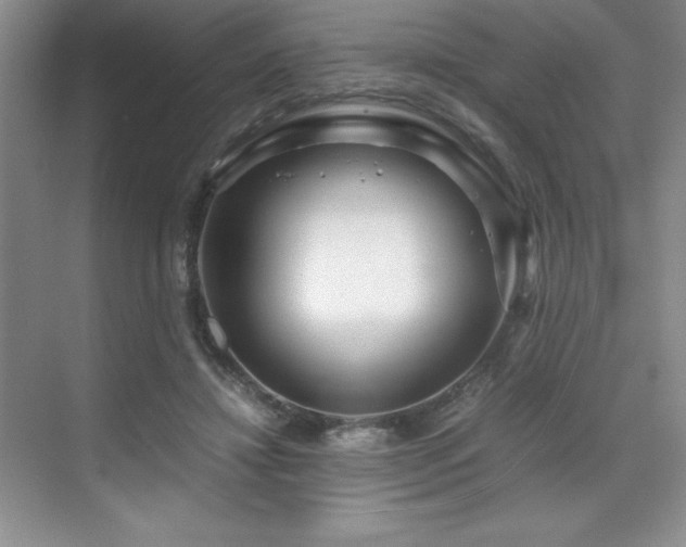 X0000071950452200607071214