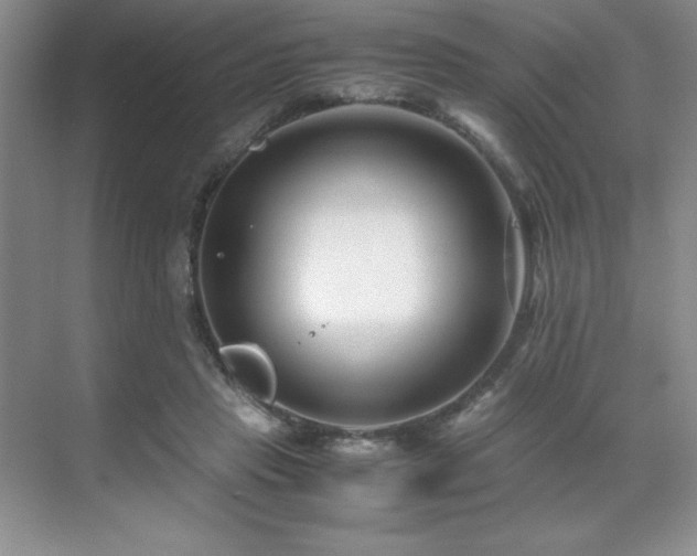 X0000071950453200607071214