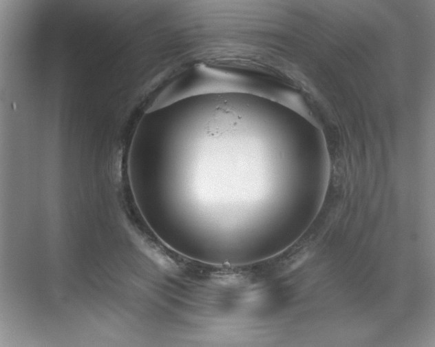 X0000071950454200607071214