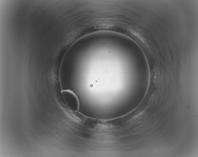 X0000071950455200607071214