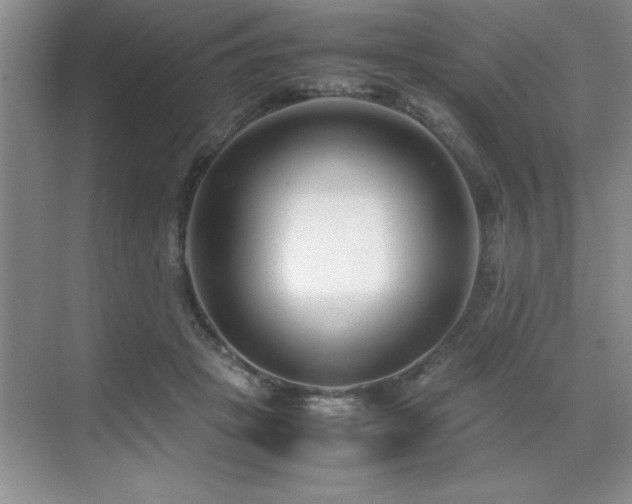 X0000071950457200607071214