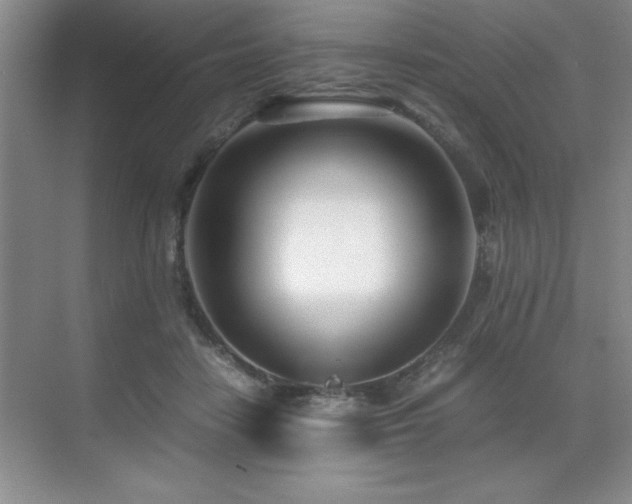 X0000071950458200607071214