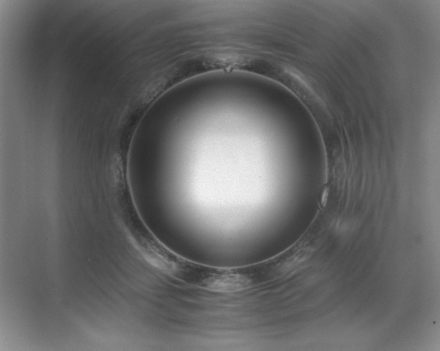 X0000071950459200607071214