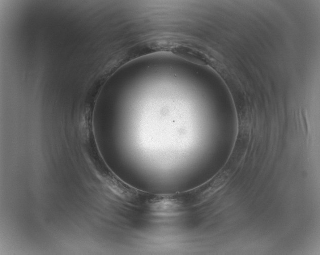 X0000071950460200607071214