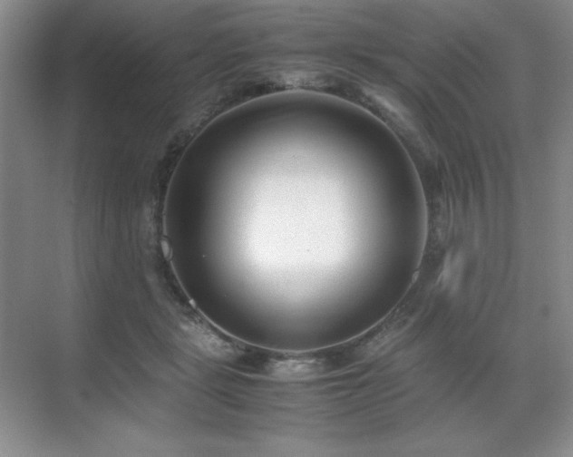 X0000071950461200607071214