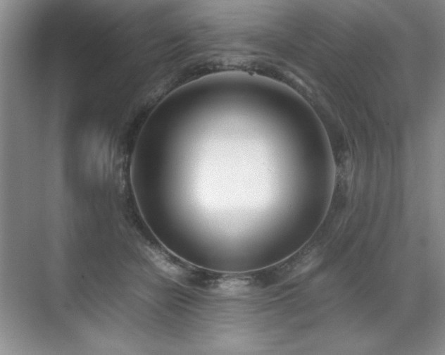 X0000071950462200607071214