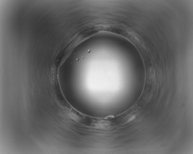 X0000071950463200607071214