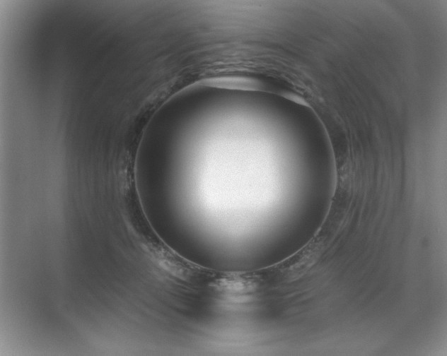 X0000071950464200607071214