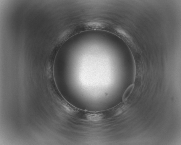 X0000071950465200607071214