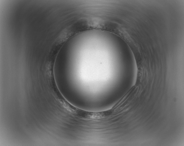 X0000071950466200607071214