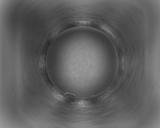 X0000071950467200607071214