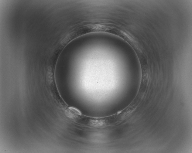 X0000071950469200607071214