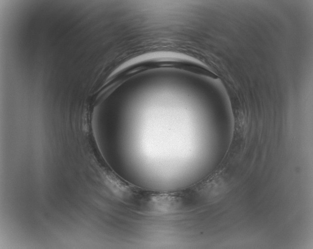 X0000071950470200607071214