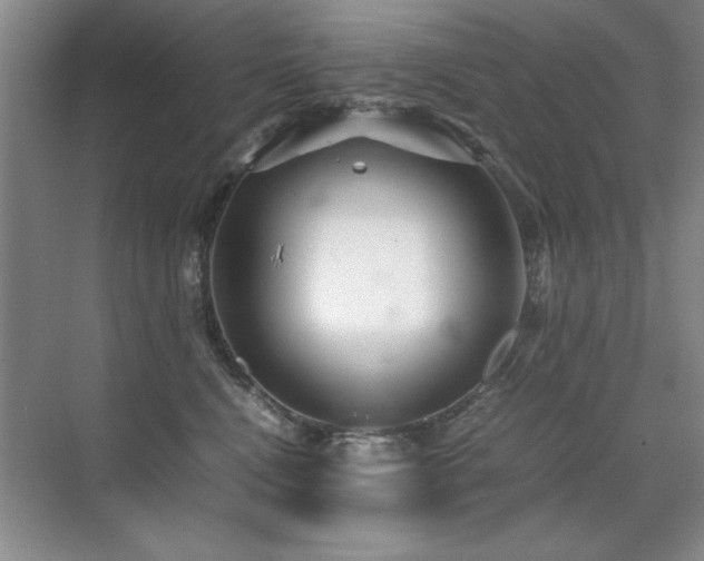 X0000071950472200607071215