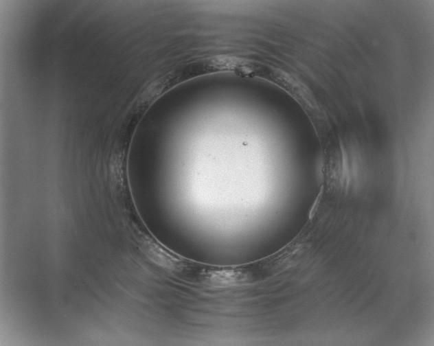 X0000071950473200607071215