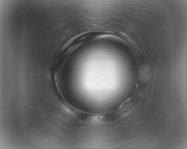 X0000071950474200607071215