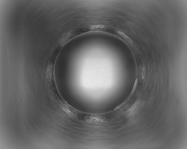 X0000071950475200607071215