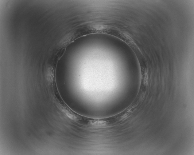 X0000071950476200607071215