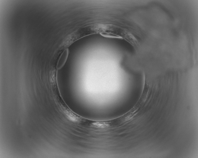 X0000071950477200607071215