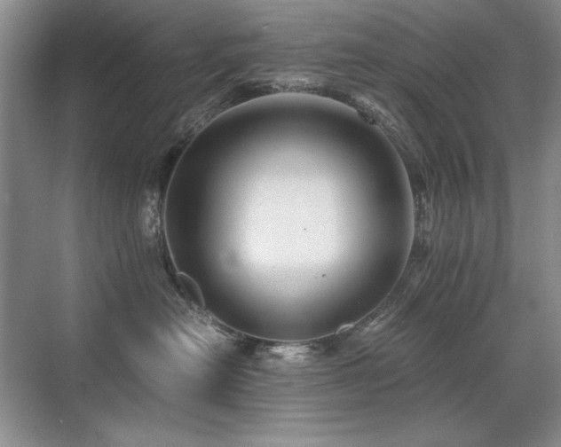 X0000071950478200607071215