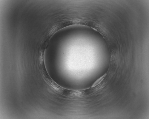 X0000071950479200607071215