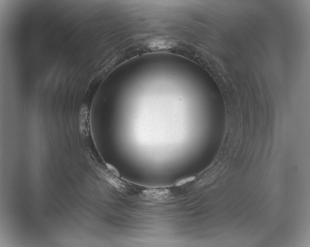 X0000071950480200607071215