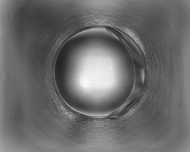 X0000071950481200607071214