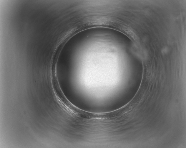 X0000071950482200607071214