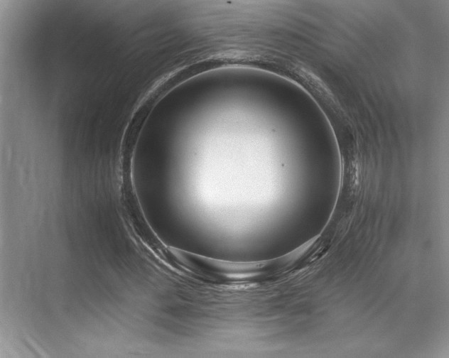 X0000071950484200607071214