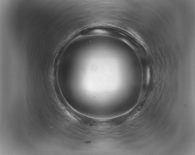 X0000071950485200607071214