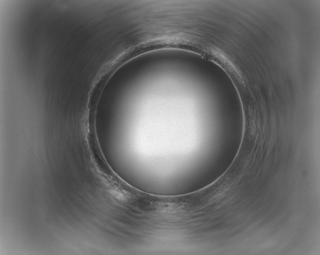 X0000071950486200607071214