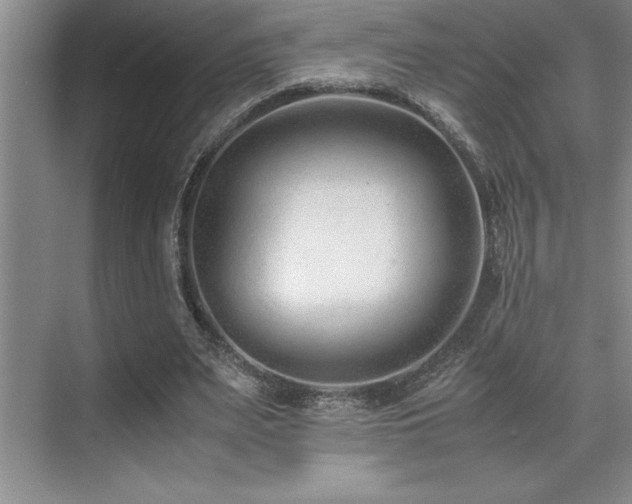 X0000071950487200607071214