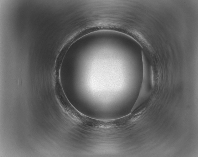 X0000071950488200607071214