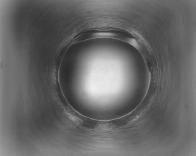 X0000071950489200607071214